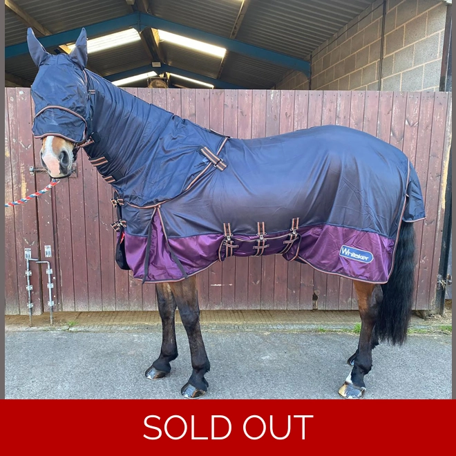 product Image for Whitaker Airton Fly Rug Navy/Plum - 5'0"-6'9"